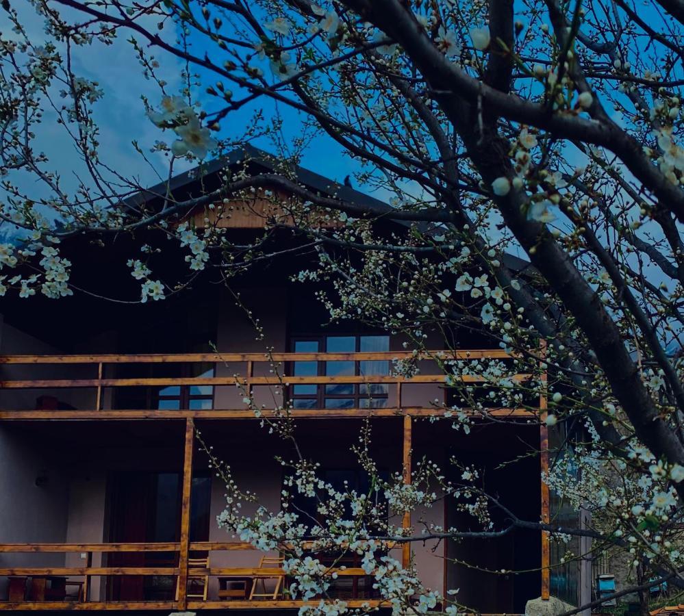 Cottage Kesane 卡兹贝吉 外观 照片