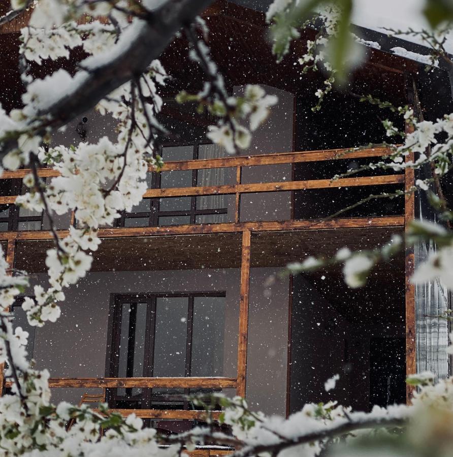 Cottage Kesane 卡兹贝吉 外观 照片